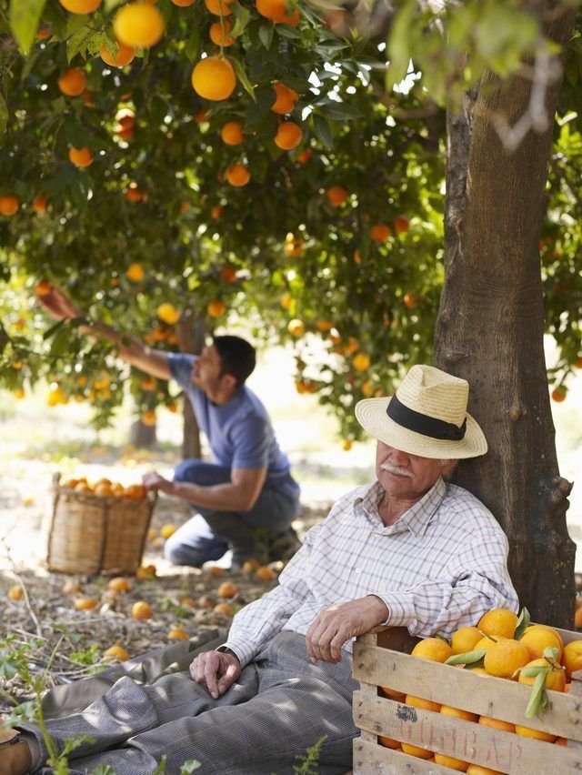 Fresh produce from the farm